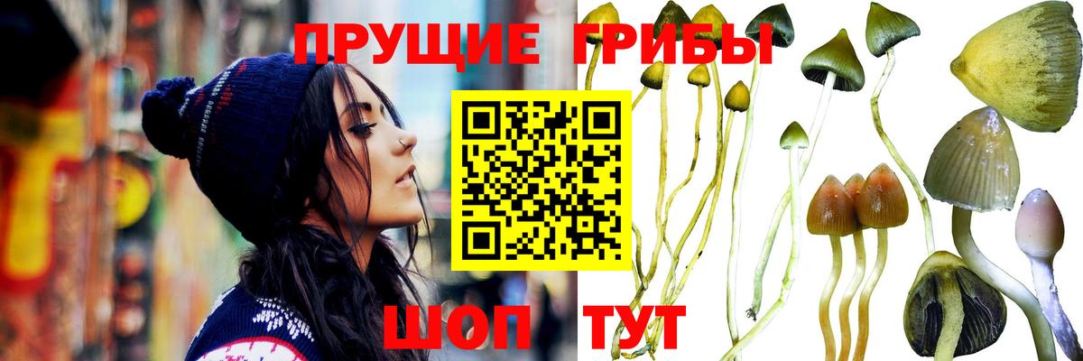 Галлюциногенные грибы ЛСД  Псилоцибиновые грибы мухоморы  даркнет сайт  Вход с VPN  Кулебаки 